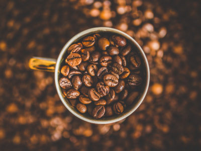 importateur de café de spécialité colombien éthiopien de forêt