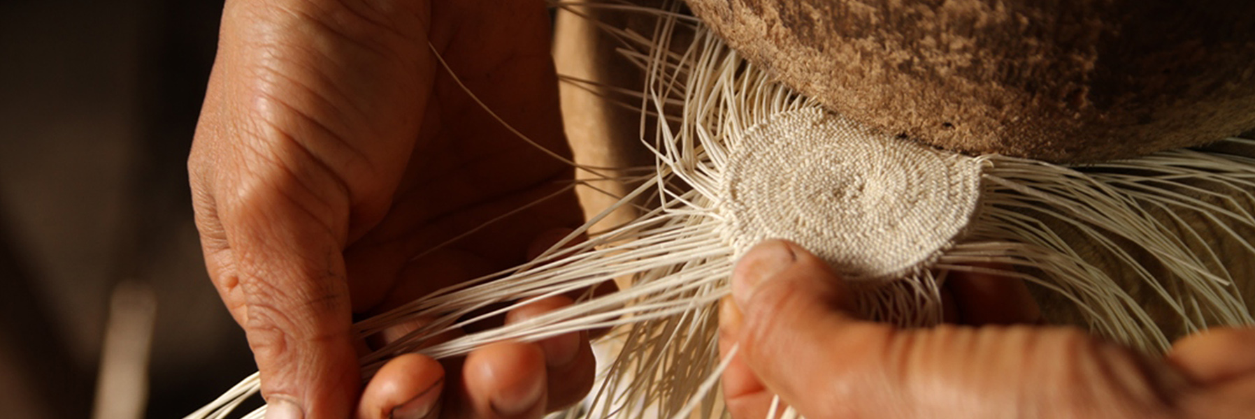 Importateur véritable Panama