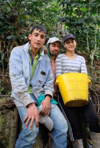 Producteurs de café Colombie